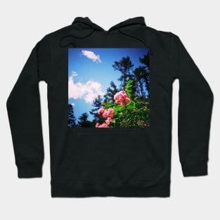 gardens Hoodie